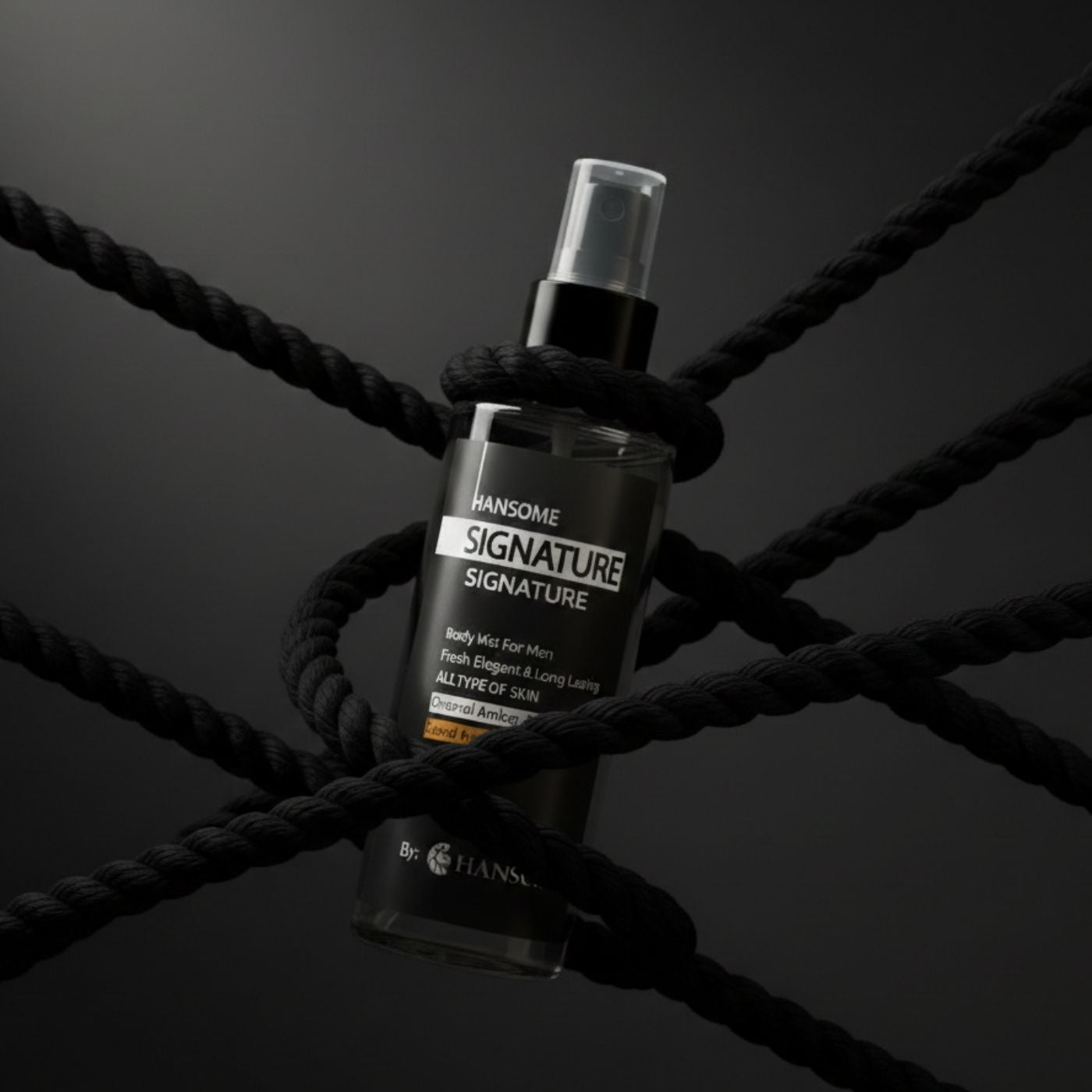 Brume Parfumée Premium - HANSOME Signature