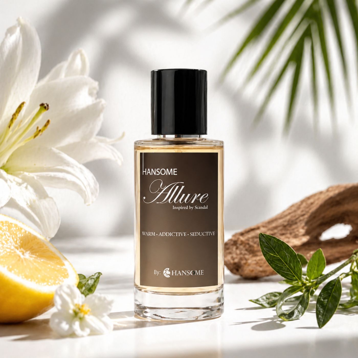 HANSOME ALLURE